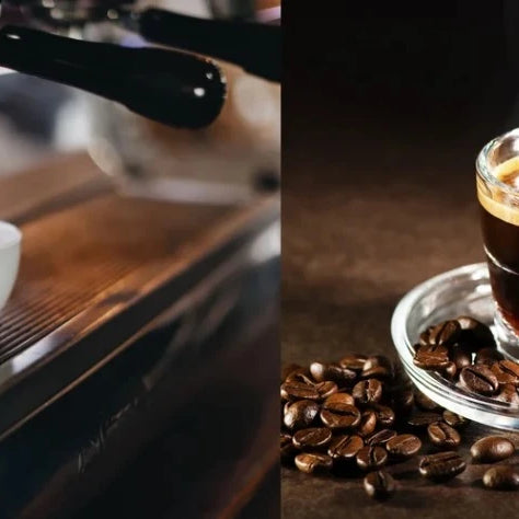 Exploring the Diversity of Milk-Based Espresso Beverages