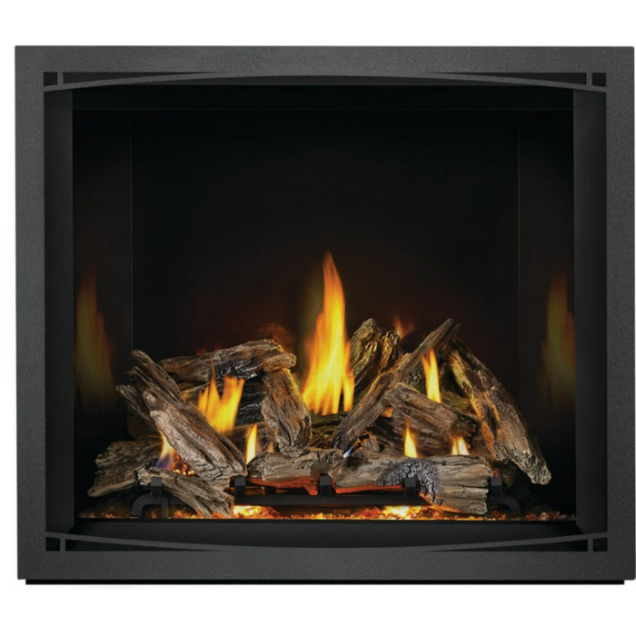 Napoleon Hearth Elevation X 42" Direct Vent Traditional Fireplace NG (EX42NTEL)