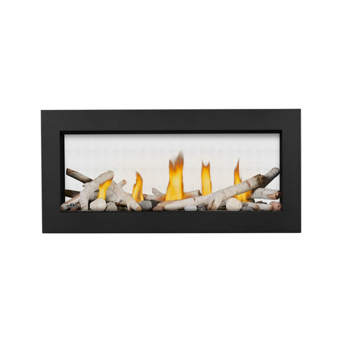 Napoleon Vector 38" See-Through Direct Vent Linear Gas Fireplace